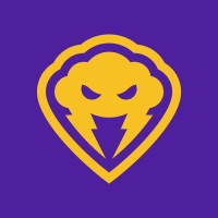 ESTORM Esports logo - Similar company to Fauna