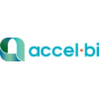 accel bi corporation logo - Similar company to 