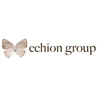 Echion Group logo - Similar company to Insight Engineering & Construction