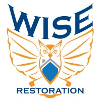 WISE Restoration Inc logo - Similar company to Kiwi Services
