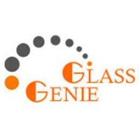 Glass Genie  Mobile Auto Glass Repair Dallas logo - Similar company to Bidclips