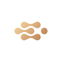 Vision Pitch logo - Similar company to Bayerstevens