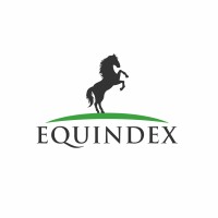 Equindex logo - Similar company to Aldertech