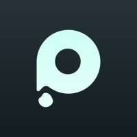 PixelFlow Tech Pvt. Ltd. logo - Similar company to Social Savvy Los Angeles
