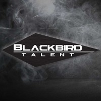 Blackbird Talent logo - Similar company to Talentglide
