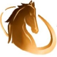 Stallion International HR Solutions Pvt Ltd logo - Similar company to Explore Overseas