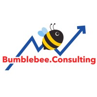 Bumblebee.Consulting logo - Similar company to Packreate