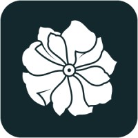 Levisteria Creatives logo - Similar company to Futurisma