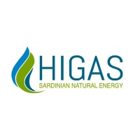 HIGAS S.r.l. logo - Similar company to G.I.&E.