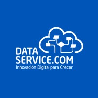 Data Service logo - Similar company to It Consulting And Cloud Services - Itcs2