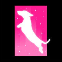 Lichthund logo - Similar company to Ingconsult