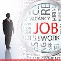 IMPACTICA SOLUTIONS logo - Similar company to Impactica