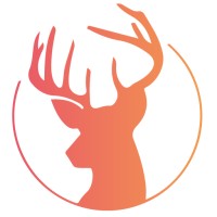 fezasanat medya logo - Similar company to Chc Bilişim Danışmanlık Hizmetleri A.Ş.