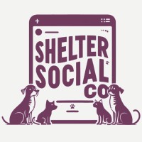 Shelter Social Co logo - Similar company to Crox Technologies Ltd