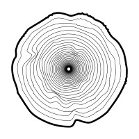 WOOD Record Label logo - Similar company to Label Key