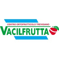 VACILFRUTTA S.R.L. logo - Similar company to Brunelli Group