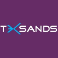 Teksands.ai logo - Similar company to Pulse Tech Digital