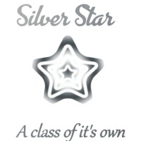 Silver Star logo - Similar company to Spearhead Leaders