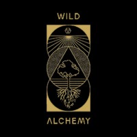 Wild Alchemy Lab logo - Similar company to Quiddity Partners
