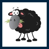 Black Sheep Support - Managed IT Services logo - Similar company to Cipher Collective