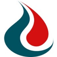 NISCHENTE INDIA PVT. LTD. logo - Similar company to Biddle Cooper