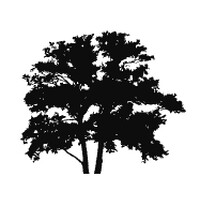 Oakview Venture Partners logo - Similar company to Opsalpha