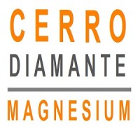 Cerro Diamante Magnesium logo - Similar company to Go2Lithium