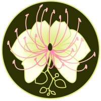 Capere logo - Similar company to Law By Levin