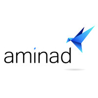 Aminad logo - Similar company to Clarkston Consulting