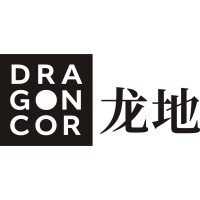 DragonCor logo - Similar company to Kpi-Improvement