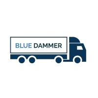 BLUE DAMMER logo - Similar company to Byte Infotech