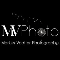 MVPhoto - Markus Voetter Wedding Photography logo - Similar company to Wedding Scribblers