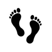 TrailedTracks logo - Similar company to Smithsonian Group Inc.