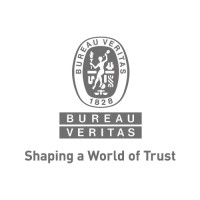 Bureau Veritas Cybersecurity logo - Similar company to Nfir B.V.