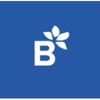 Bluprisma logo - Similar company to Nava Software Support & Services