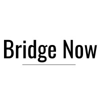 Bridge Now GmbH logo - Similar company to Seraphim Communications Llp