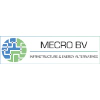 Mecro Bv Infrastructure & Energy Alternatives