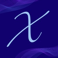 X-Consulting logo - Similar company to Boquila