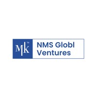 NMS INFRAA.INDIA logo - Similar company to Adissia Developers Private Limited
