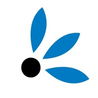 Synesty logo - Similar company to Orisa Software Gmbh