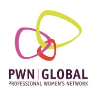 PWN Global logo - Similar company to Safesoft Ltd