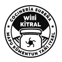 Willi Kitral logo - Similar company to Ngn - National Guardians Network
