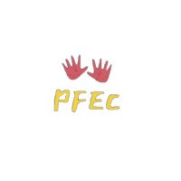 PFEC (Protection For Every Child) logo - Similar company to Let’S Speak Africa Aka Ruth Reje Advocacy Foundation