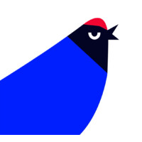 Blue Manakin logo - Similar company to Crivosoft