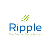 Ripple Fast Business Setup Services LLC logo - Similar company to Digiwynd (Smc-Pvt) Ltd