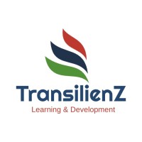 TransilienZ logo - Similar company to Midas Services