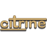 Citrine Technologies Private Limited logo - Similar company to Webstack Business Solutions