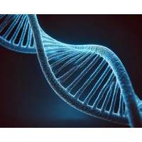 BlueChain Bio logo - Similar company to Pmoa Inc