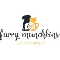 Furry Munchkins Pet Photography logo - Similar company to The Cartable Collective