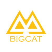 Big Cat Entertainment logo - Similar company to Big Cat Solutions